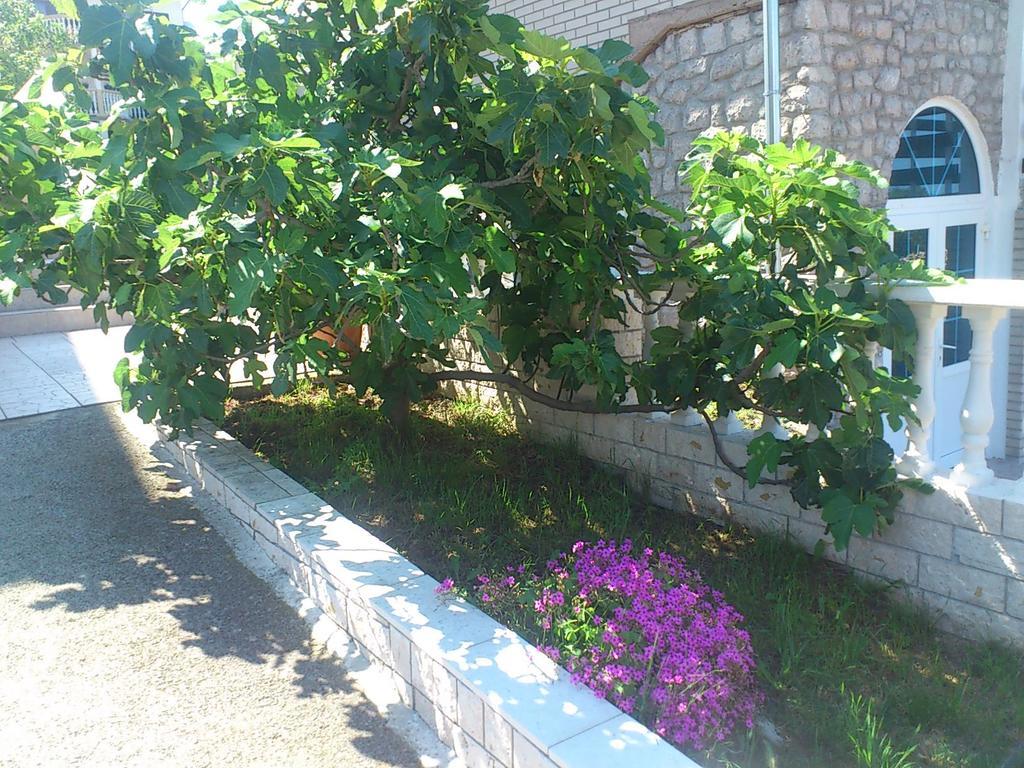 Apartment Leona Сен Екстериор снимка