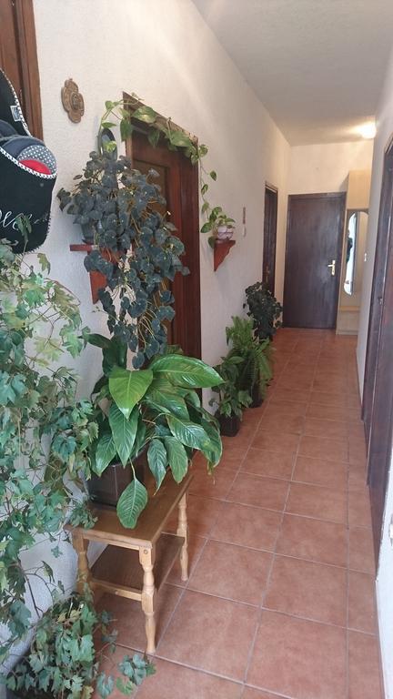 Apartment Leona Сен Екстериор снимка